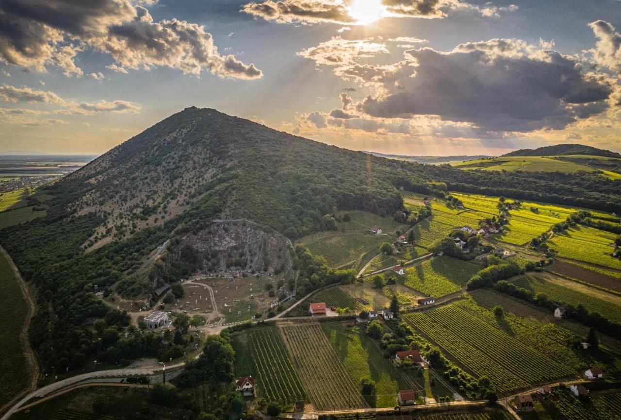 Boraszporta - Preshaz Hotel วิลานี ภายนอก รูปภาพ