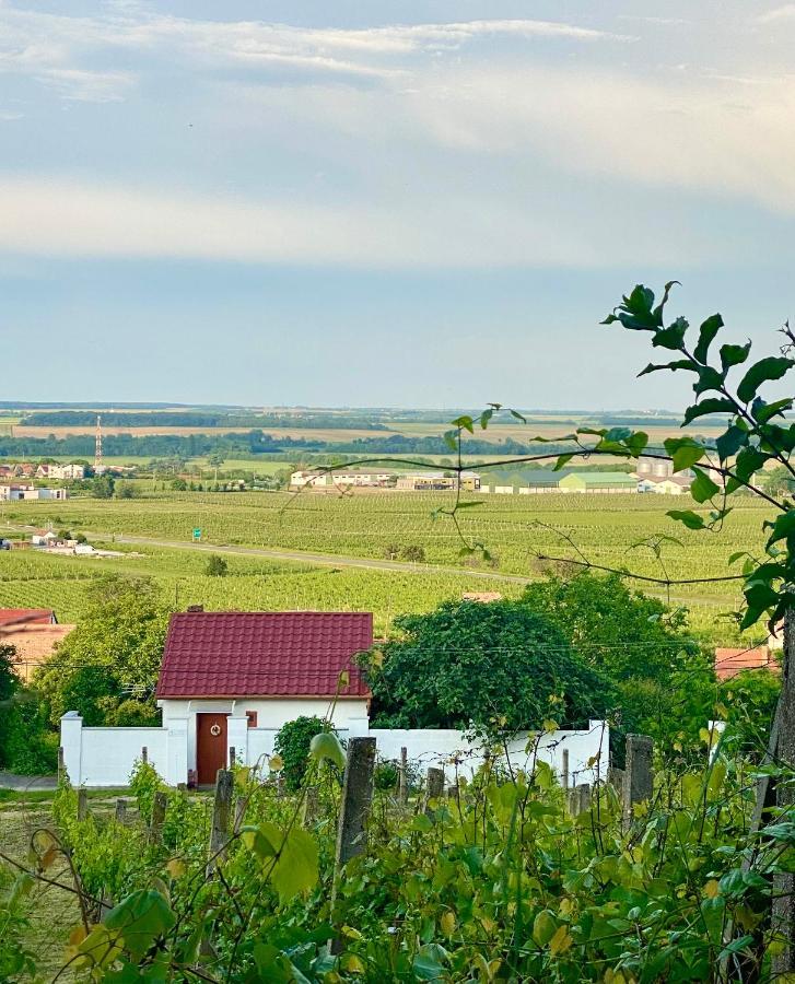 Boraszporta - Preshaz Hotel วิลานี ภายนอก รูปภาพ